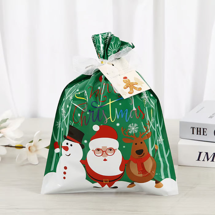 Christmas Gift Bag